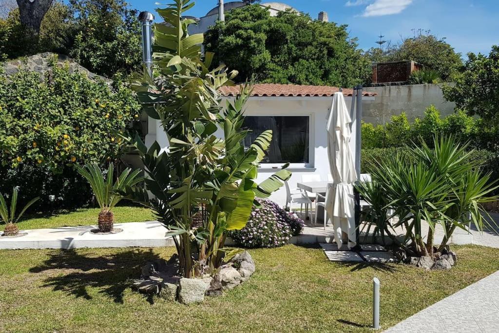 One-Bedroom House,1173430662:JPEG