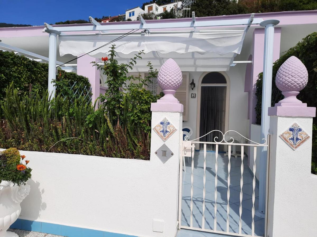 Maison de Vacances (4 Adultes)