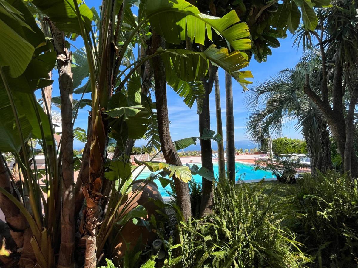 Villa Sea View