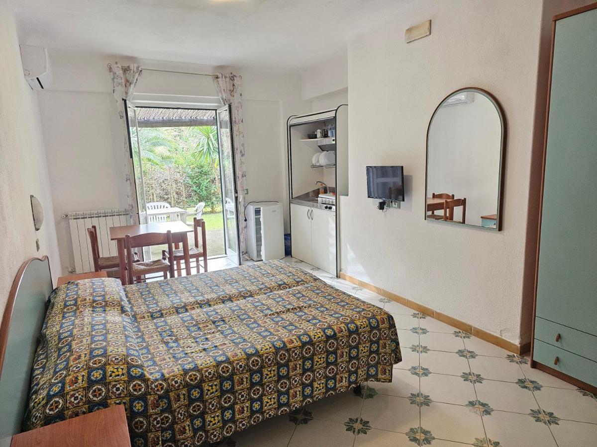 Studio with Garden View