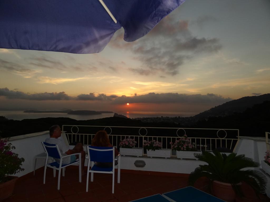 Apartment with Terrace,225132554:JPEG