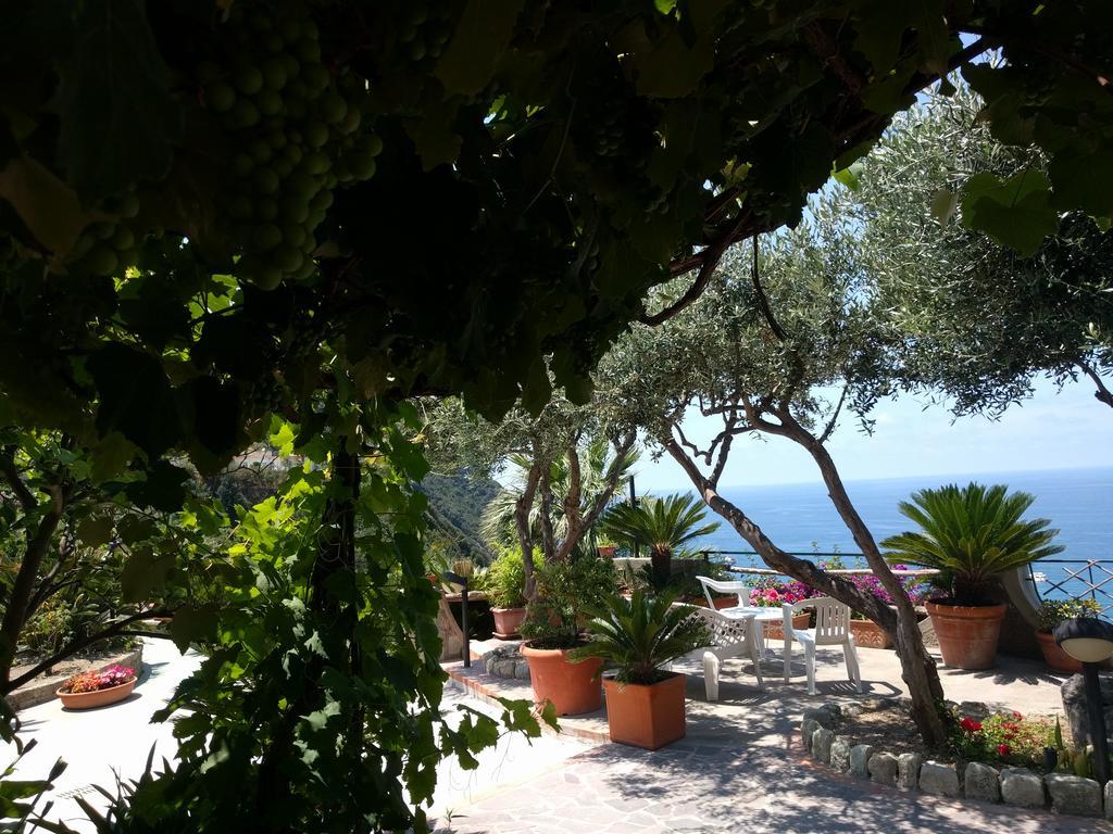 Studio Sea View