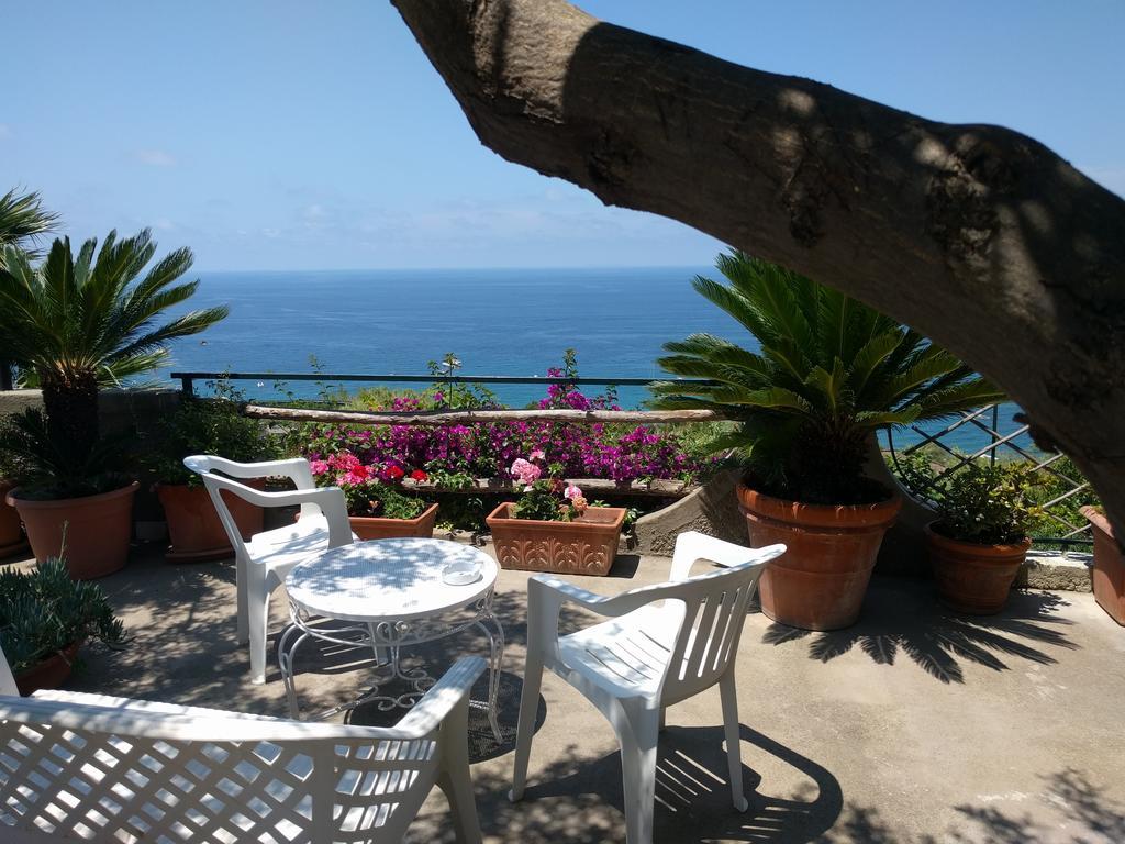 Studio Sea View
