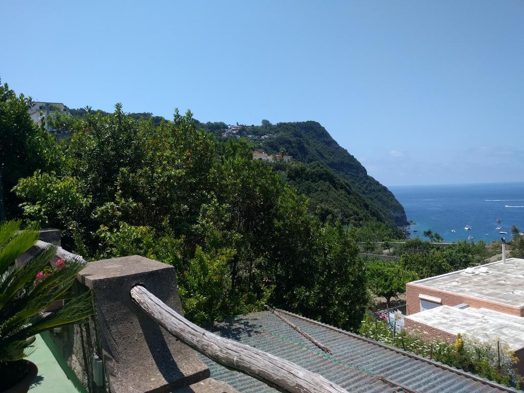 Studio Sea View