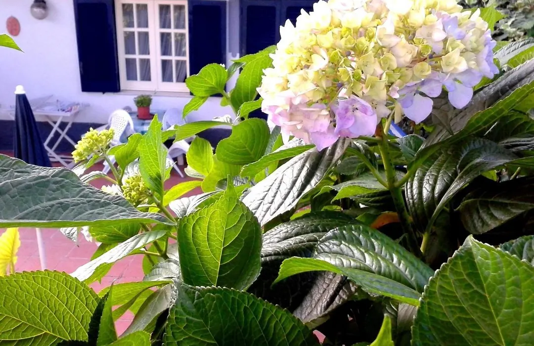 Ferienwohnung Mit Mediterraner Terrasse-1