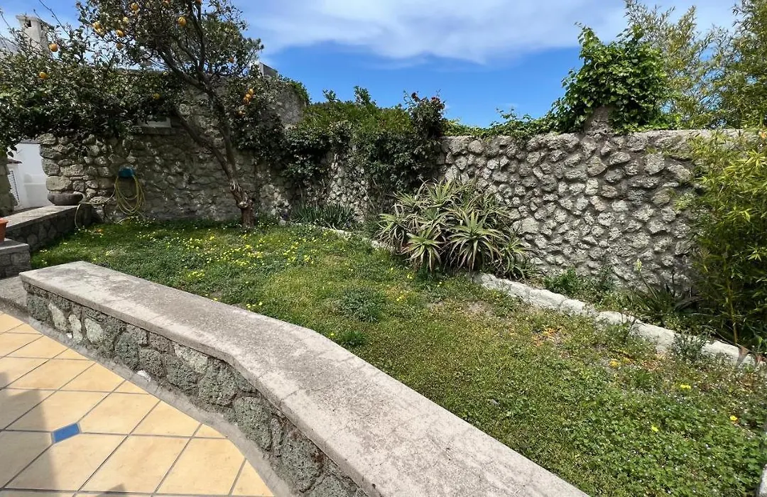Fitto Estivo Appartamento In Forio D'Ischia-1