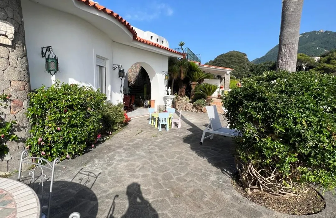 Blu Panorama-1