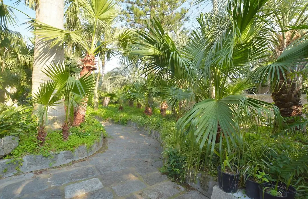 B&B Villa Regine-1