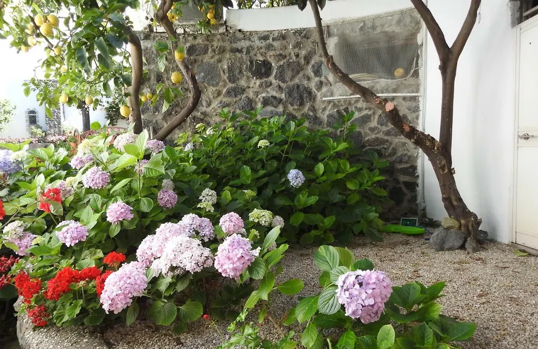 Villa Erade-1
