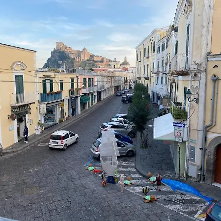 Orchidea di Ischia ponte-2