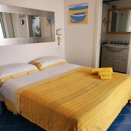 Agata Suite-3