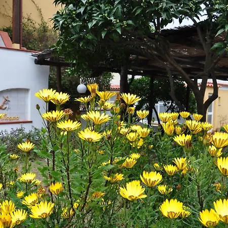Hotel La Marticana-3