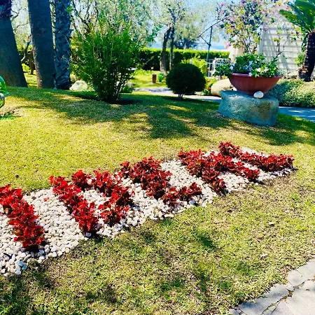 Hotel Ideal-2