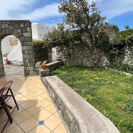 Fitto Estivo Appartamento In Forio D'Ischia-2