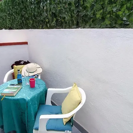 Summer Vibes B&B-2