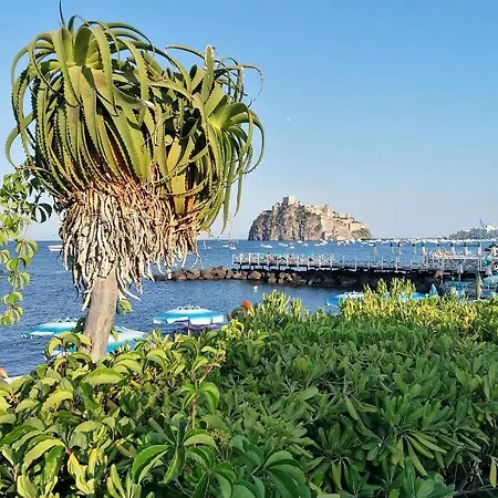 Maison Mele Ischia-2