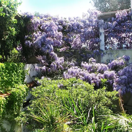 B&B La Salamandra Kitchengarden-2