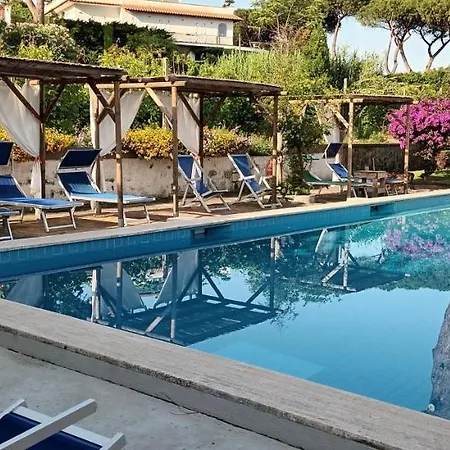 Villa Olivia Residence Ischia - Monolocali E Bilocali Nel Verde Con Piscine E Vista Mare-2