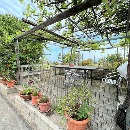 Appartamenti Miramare In Collina-3