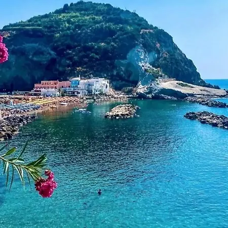 Mare Nostrum - Beachfront House With Sea View - 2 Bedrooms - Sant'Angelo Ischia-3