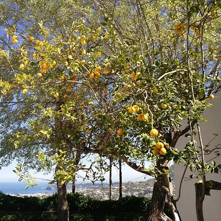 Villa Andrea-2