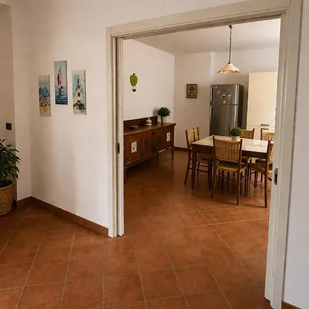 Domus Pannella - Endless Summer-3