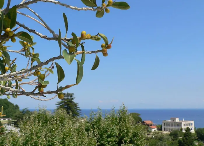 Hotel La Maggioressa Casamicciola Terme