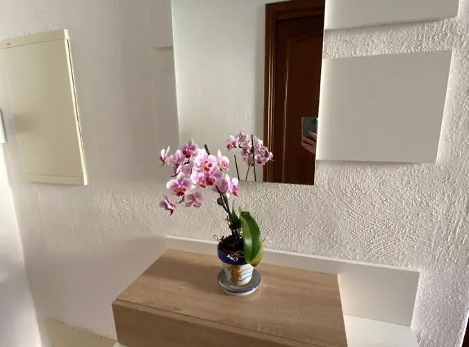 Appartamento Orchidea di Ischia ponte che accetta animali