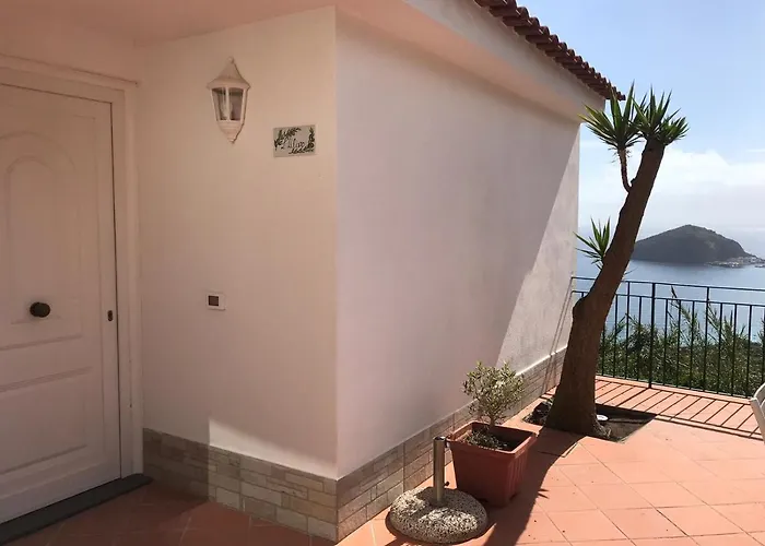 L' Ulivo Villa Nunzia Barano dʼIschia che accetta animali