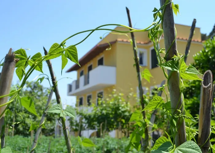 B&B La Vigna - Ischia Ponte