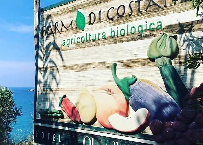 Albergo Olmitello - cucina vegetariana bio e tradizionale Barano dʼIschia