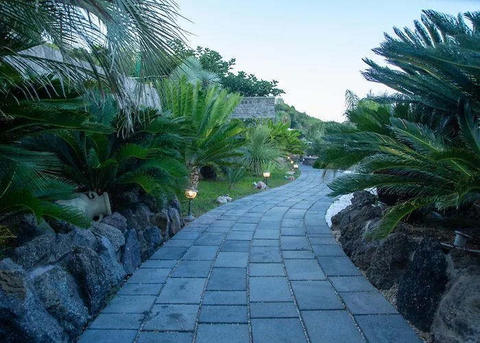 A Dream Ischia Resort Barano dʼIschia che accetta animali