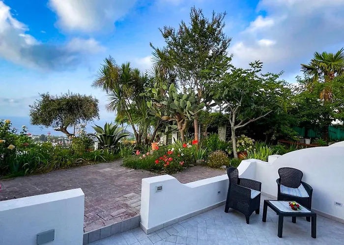 Barracudasuite Ischia