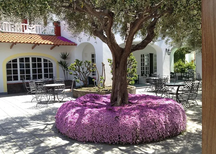 Ischia Island Hotels With Pool near Giardini Poseidon Terme