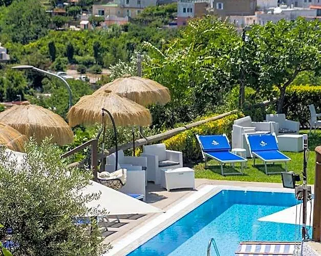 Ischia Island Pet Friendly Lodging and Hotels near Castello Aragonese