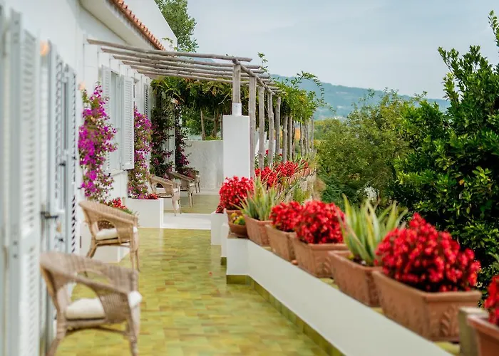 Pet friendly La Casa Dell'Ulivo Villa Serrara Fontana