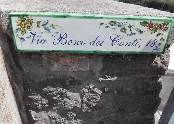 Haustierfreundliches Ferienwohnung Il Vigneto Ischia Island