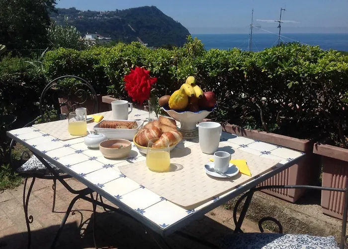Pet friendly La Terrazzina Sul Tramonto Bed & Breakfast Forio 