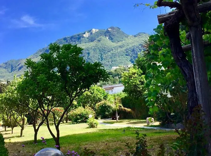 Pet friendly Palazzo Ciannelli Apartment Ischia Island